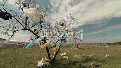 Tree Covered Plastic Bags Near Landfill