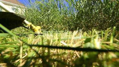 Rotary Lawn Mower Mowing The Grass