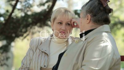 Senior Female Friends Lively Conversation