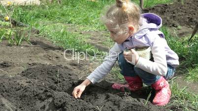 Little Farmer Planting Peas On The Plot