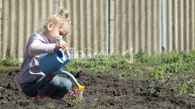 Little Gardener on Smallholder Farm