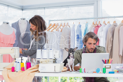 Fashion designers at work with a puppy on the desk