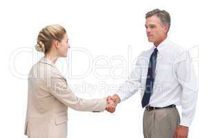 Mature businessman shaking hands with his coworker