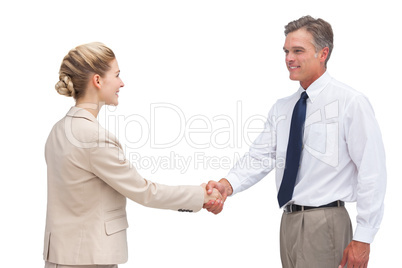 Smiling mature businessman shaking hands with his coworker