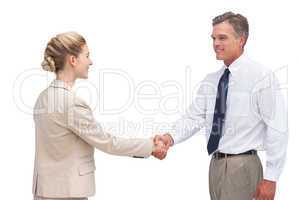 Smiling mature businessman shaking hands with his coworker