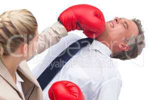 Businesswoman boxing her co worker