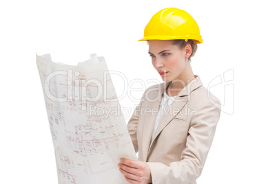 Architect reading construction plan