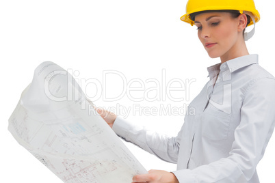 Architect looking at blueprint