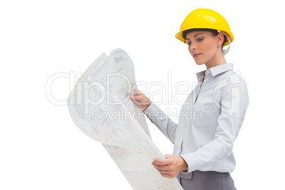 Architect studying plan with yellow helmet