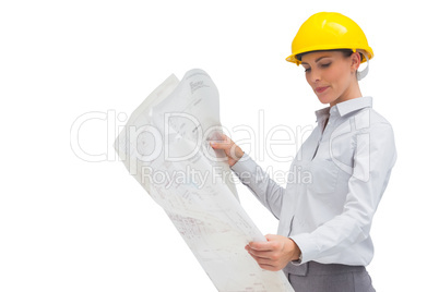 Smiling architect with blueprint