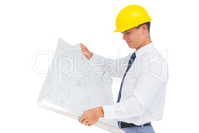 Architect reading a plan