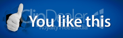 Social network logo presenting thumb up