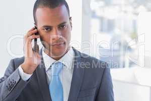 Businessman on a call