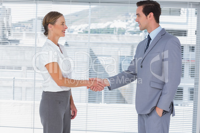 Businesswoman and man shaking hands