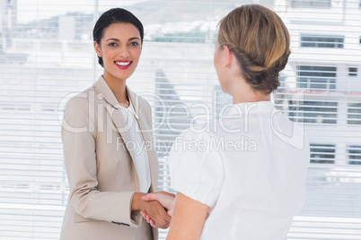 Cheerful business partners shaking hands