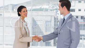 Businesswoman shaking hands to businessman