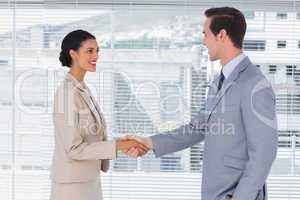 Attractive businesswoman shaking hands to handsome businessman