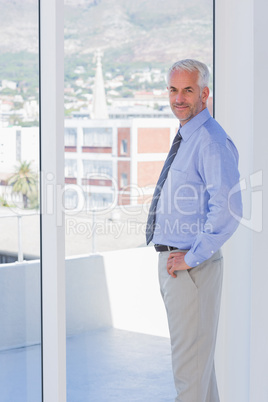 Businessman standing by the window and smiling