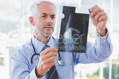 Handsome doctor examining an x-ray