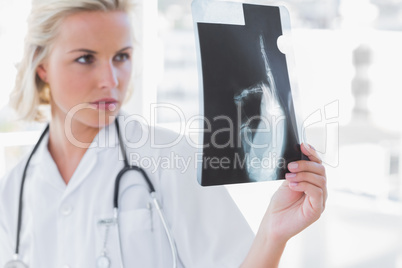 Serious nurse examining a radiography