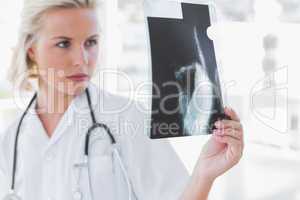 Serious nurse examining a radiography