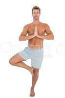 Man doing the tree pose