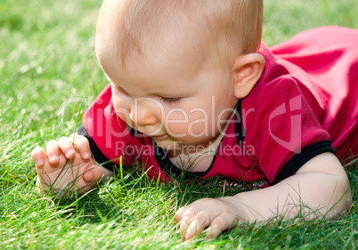 baby girl playing on green grass