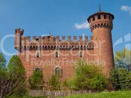 Medieval Castle Turin
