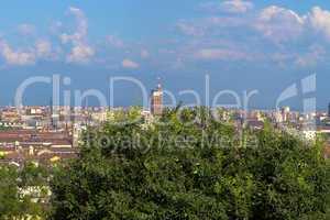 Turin view