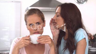 Woman whispering gossips to a friend