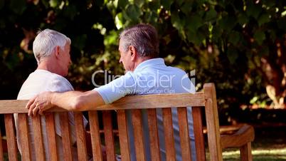 Mature couple discussing together on a bench