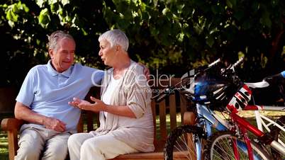 Mature couple talking together in a park