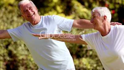 Mature couple practicing tai chi