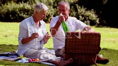 Mature couple having a picnic with white wine