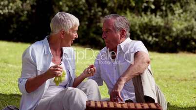 Elderly couple eating grapes at a picnic
