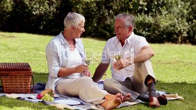 Elderly couple drinking white wine at a picnic
