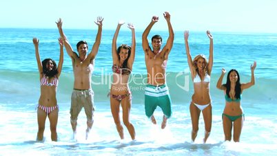 Group of friends having fun on the beach