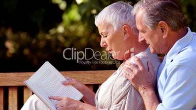 Elderly couple reading a book