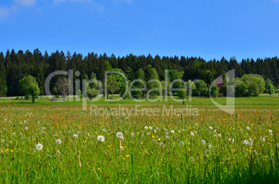 Landschaft Wolken Wiese