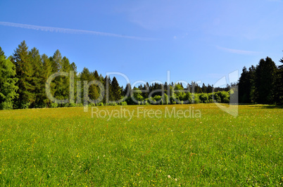 Landschaft Wolken Wiese wald