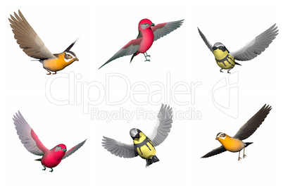 Set of songbirds - 3D render