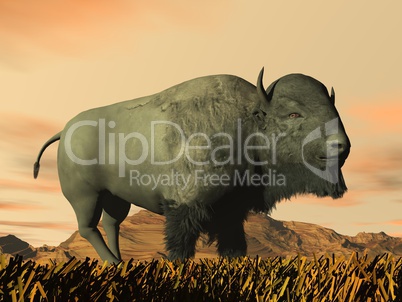 Bison by sunset- 3D render