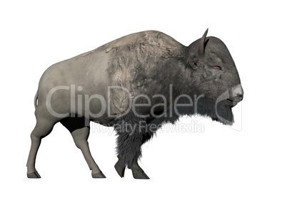 Bison walking - 3D render