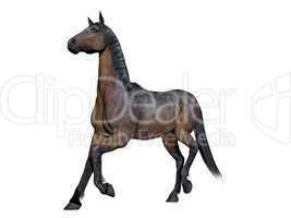 Brown horse - 3D render