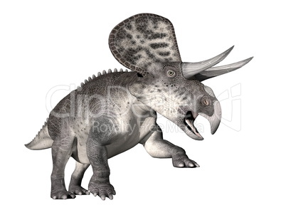 Zuniceratops dinosaur - 3D render