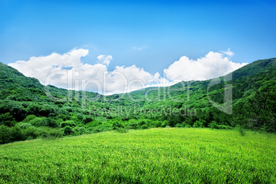 Mountains in the afternoon