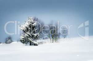 Winter landscape 2013-002