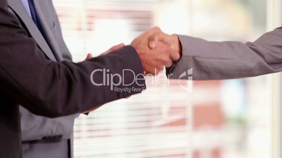 Businesswoman shaking hand of a businessman