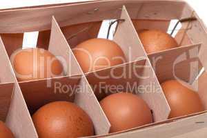 brown eggs in eco-box
