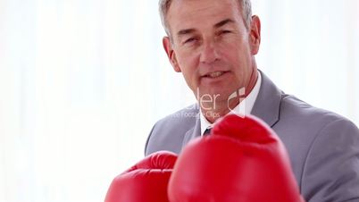 Businessman boxing with red gloves